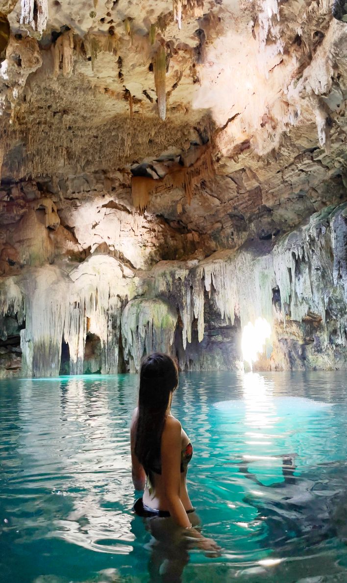 arbol maya en Tsukán Santuario de Vida