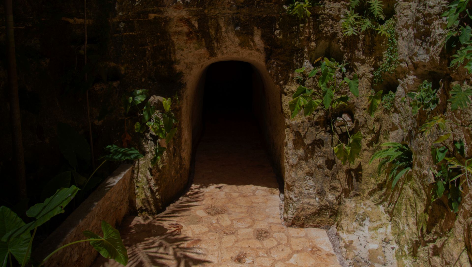 Tsukan Santuario de Vida puerta al cenote maya